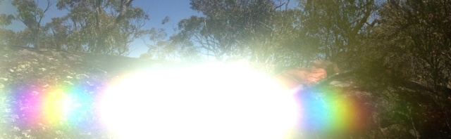 Girls and Boys with Toys