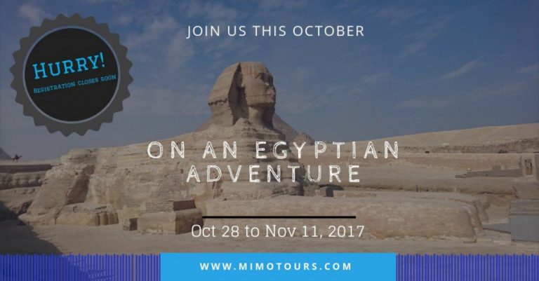 20746382_502806106724497_2481846723129191415_o