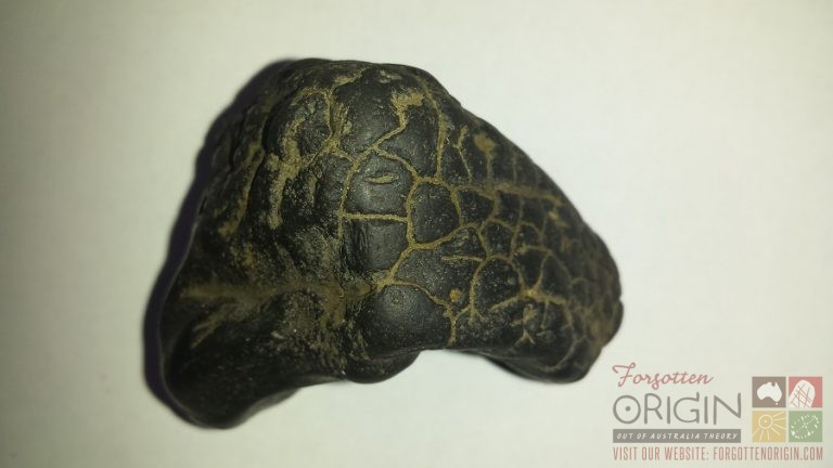 2017-10-03 11.31.18 - Copy