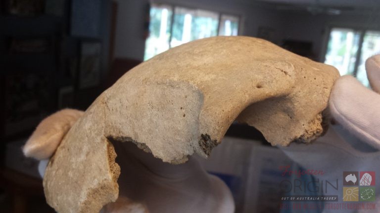 2018-03-05 13.20.57 - Copy