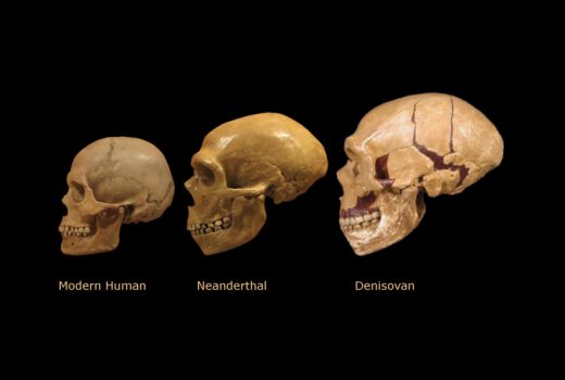 500,000 Years Ago???