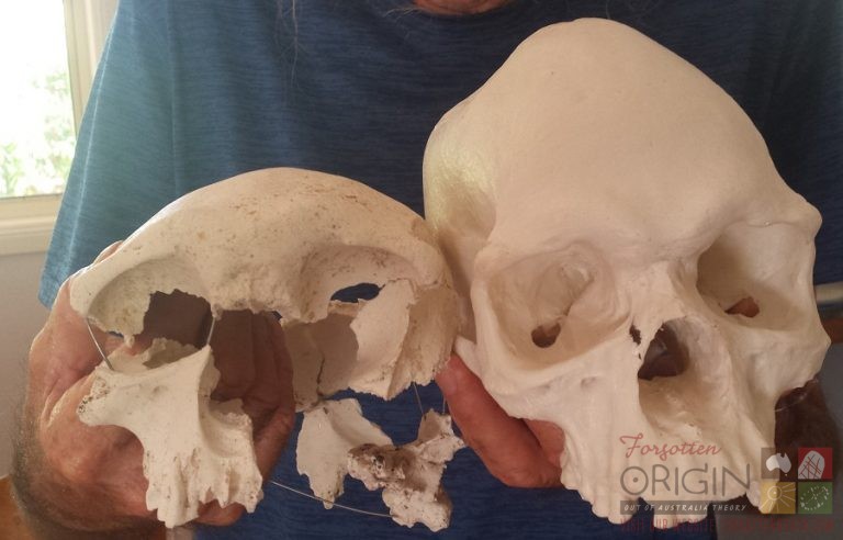 2019-01-25 12.44.55 - Copy