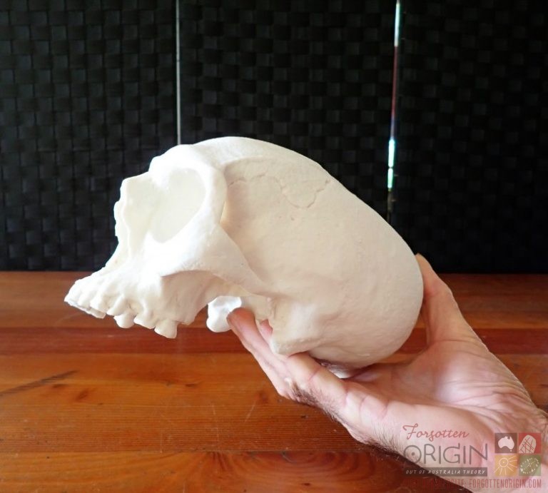 2019-04-18 13.13.37 - Copy