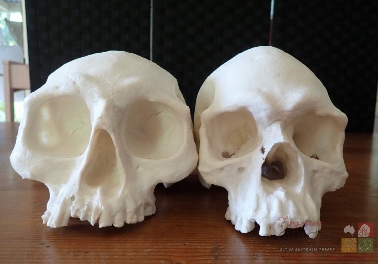 2019-04-18 13.14.27 - Copy