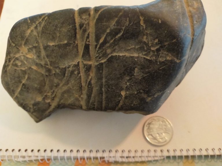 86350390_484227802524829_8888916495359279104_n - Copy