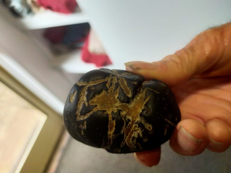 117294836_719005015336586_6873820089955251160_n - Copy