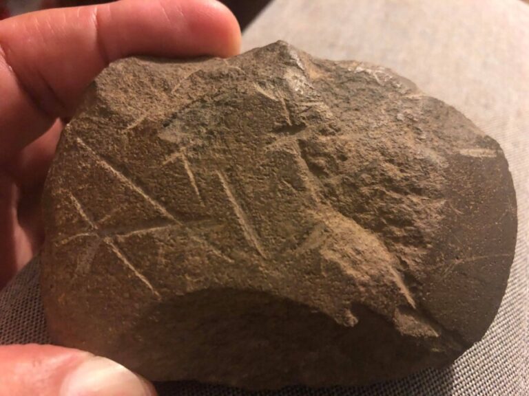 191834863_768835260457139_1615863928350366201_n