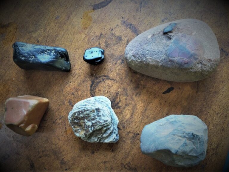 286874553_5003053126470460_1393344575529975599_n a