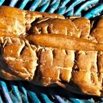 361910429_822712232526464_1841960811801166939_n